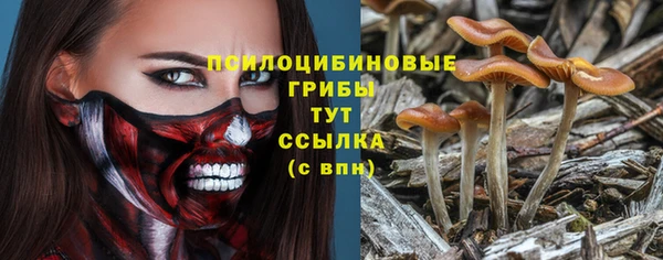 спиды Абинск