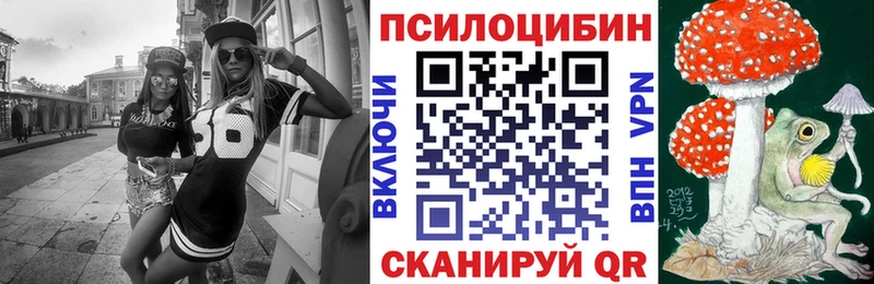 Галлюциногенные грибы Psilocybine cubensis  Калачинск 